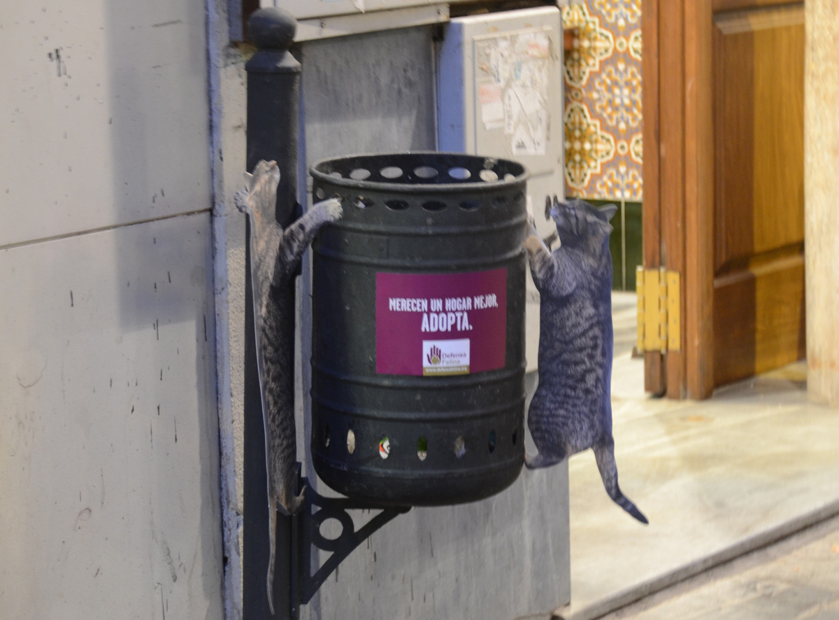 Street marketing gatos, Defensa Felina